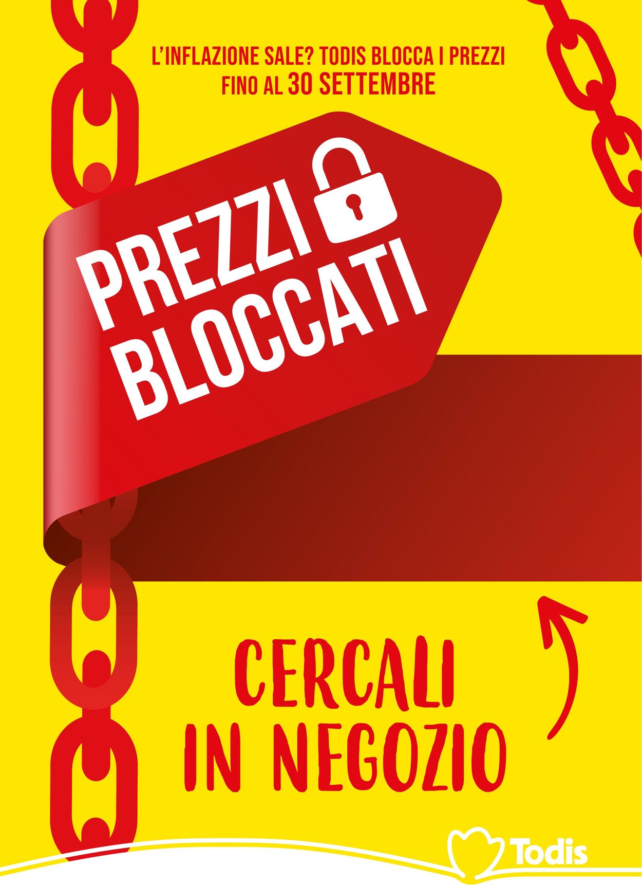 pagina volantino todis