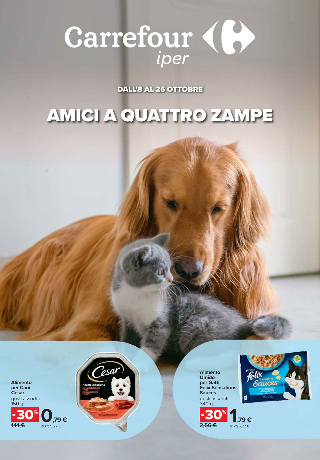 volantino carrefour