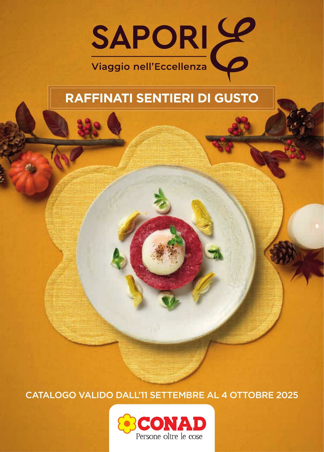 volantino conad