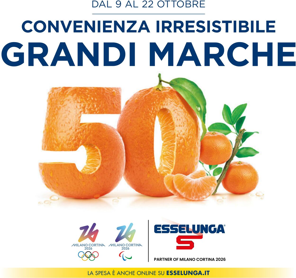 volantino esselunga