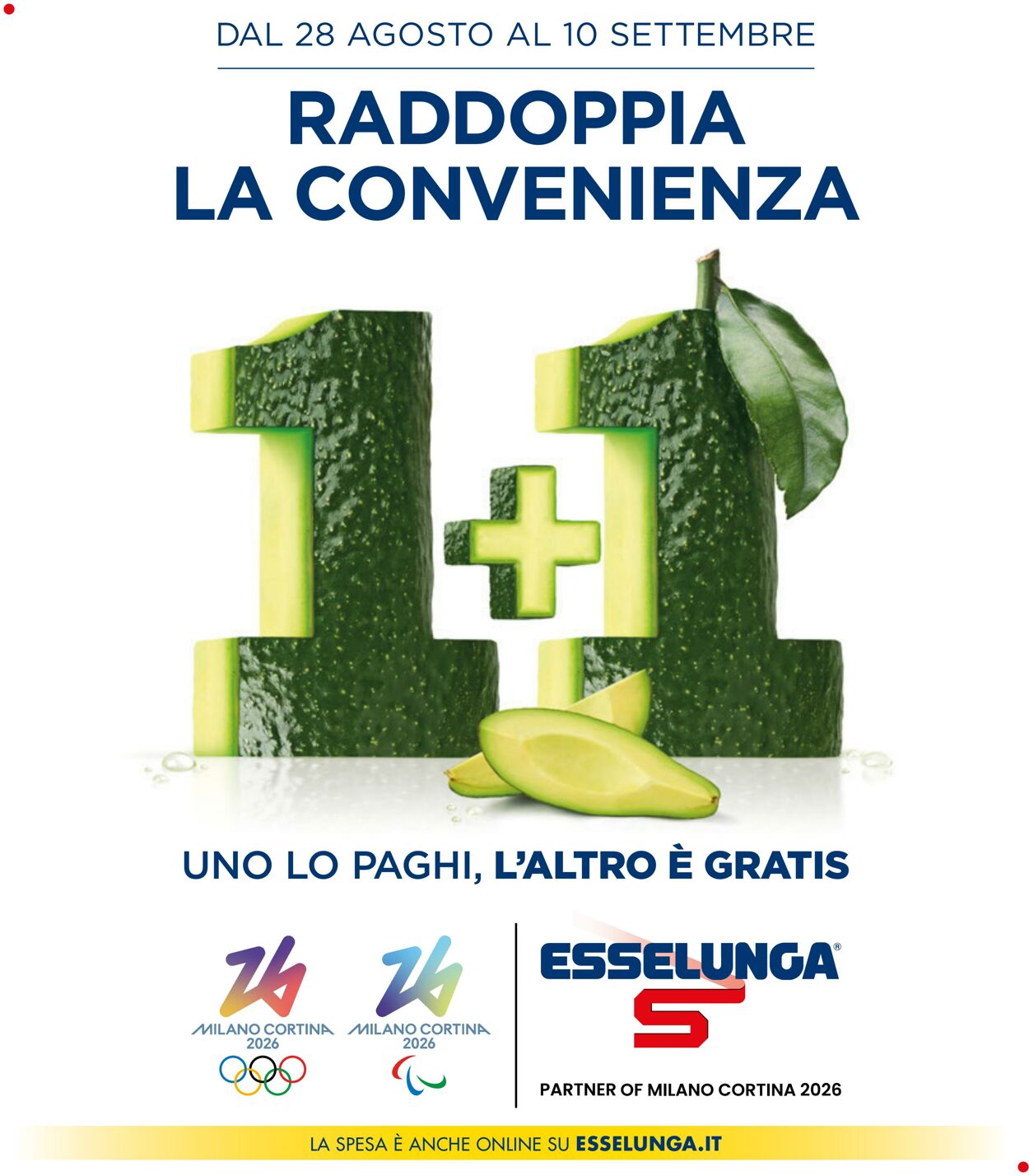 volantino esselunga